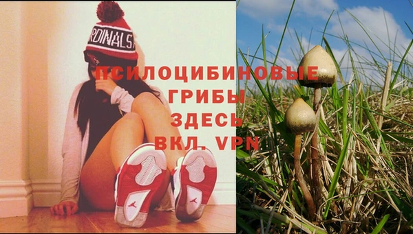 прущий лед Армянск