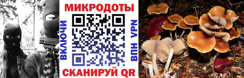 Псилоцибиновые грибы прущие грибы  Заозёрный 